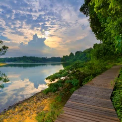 Macritchie reservoir