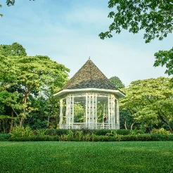 Singapore botanic  gardens